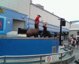 �����قɍs������