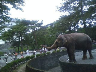 ���c����ɂ�